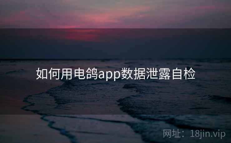 如何用电鸽app数据泄露自检