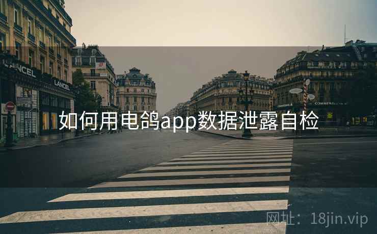 如何用电鸽app数据泄露自检
