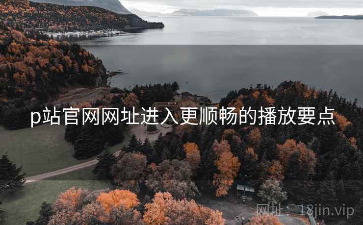 p站官网网址进入更顺畅的播放要点