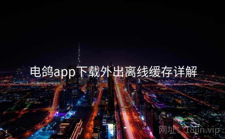 电鸽app下载外出离线缓存详解