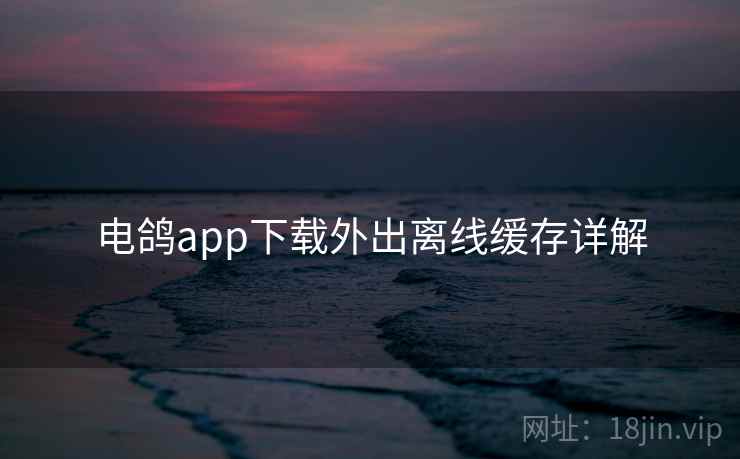 电鸽app下载外出离线缓存详解