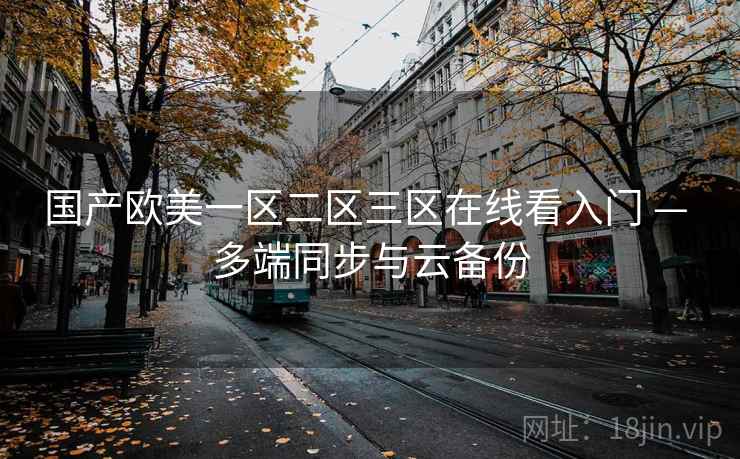 国产欧美一区二区三区在线看入门 — 多端同步与云备份