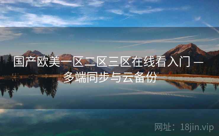 国产欧美一区二区三区在线看入门 — 多端同步与云备份