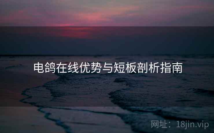 电鸽在线优势与短板剖析指南